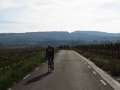 Bikecat-Mariposa-Priorat-Wine-Tour-2018-179