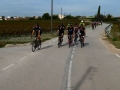 Bikecat-Mariposa-Priorat-Wine-Tour-2018-195
