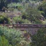 Bikecat-Priorat-Wine-Tour-2018-028