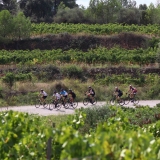 Bikecat-Priorat-Wine-Tour-2018-030