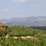 Bikecat-Priorat-Wine-Tour-2018-032