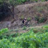 Bikecat-Priorat-Wine-Tour-2018-100