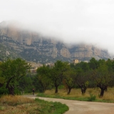 Bikecat-Priorat-Wine-Tour-2018-108
