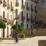 Bikecat-Priorat-Wine-Tour-2018-165