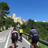 Bikecat-Priorat-Wine-Tour-2018-177