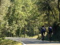 Bikecat-Mariposa-Pyrenees-to-Castello-Cycling-Tour-2019-100