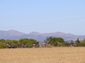 Bikecat-Mariposa-Pyrenees-to-Castello-Cycling-Tour-2019-116