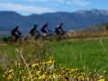 Bikecat-Mariposa-Pyrenees-to-Girona-Cycling-Tour-2019-013