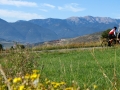 Bikecat-Mariposa-Pyrenees-to-Girona-Cycling-Tour-2019-014