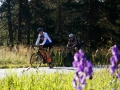 Bikecat-Mariposa-Pyrenees-to-Girona-Cycling-Tour-2019-026