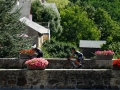 Bikecat-Mariposa-Pyrenees-to-Girona-Cycling-Tour-2019-036