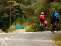 Bikecat-Mariposa-Pyrenees-to-Girona-Cycling-Tour-2019-101