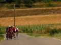 Bikecat-Mariposa-Pyrenees-to-Girona-Cycling-Tour-2019-105