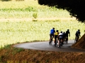 Bikecat-Mariposa-Pyrenees-to-Girona-Cycling-Tour-2019-110