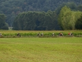 Bikecat-Mariposa-Pyrenees-to-Girona-Cycling-Tour-2019-118