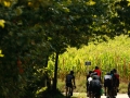 Bikecat-Mariposa-Pyrenees-to-Girona-Cycling-Tour-2019-119