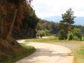 Bikecat-Mariposa-Pyrenees-to-Girona-Cycling-Tour-2019-131