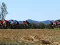 Bikecat-Mariposa-Pyrenees-to-Girona-Cycling-Tour-2019-162