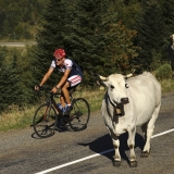 Bikecat-Mariposa-Pyrenees-to-Girona-Tour-061