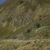 Bikecat-Mariposa-Pyrenees-to-Girona-Tour-069