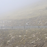 Bikecat-Mariposa-Pyrenees-to-Girona-Tour-154-1