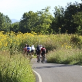 Bikecat-Mariposa-Pyrenees-to-Girona-Tour-177-1