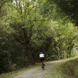 Bikecat-Mariposa-Pyrenees-to-Girona-Tour-189-1