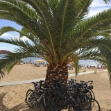 Bikecat-Mariposa-Pyrenees-to-Girona-Tour-211-1