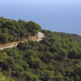 Bikecat-Mariposa-Pyrenees-to-Girona-Tour-221-1