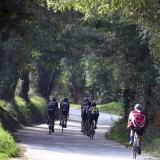 Bikecat-Runaways-Trip-to-Girona-2016-159