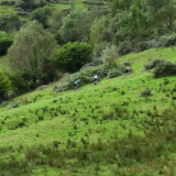 156_Bikecat-HK-Cantabria-Asturias-Cycling-Tour-2021-Day-6j-107