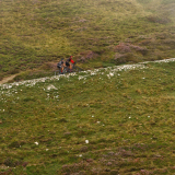 223_Bikecat-Trans-Pyrenees-Cycling-Tour-2021-Day-4j-155
