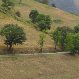 380_Bikecat-Trans-Pyrenees-Cycling-Tour-2021-Day-2a-004