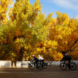444_Bikecat-The-Conan-Tour-2021-Sotorribas-C-019