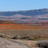 634_Bikecat-The-Conan-Tour-2021-Alfambra-Desert-j-042