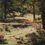 977_Bikecat-The-Conan-Tour-2021-Sierra-de-Albarracin-C-143