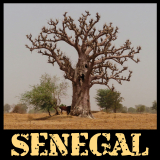 BSF-Senegal_2023-001