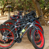 BSF-Senegal_2023-003