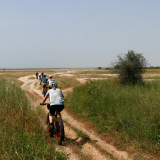 BSF-Senegal_2023-031