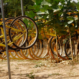 BSF-Senegal_2023-068