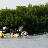 BSF-Senegal_2023-117