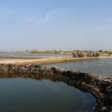 BSF-Senegal_2023-133