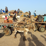 BSF-Senegal_2023-152