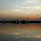 BSF-Senegal_2023-154