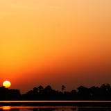 BSF-Senegal_2023-155