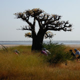 BSF-Senegal_2023-166