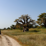 BSF-Senegal_2023-207