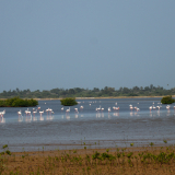 BSF-Senegal_2023-212