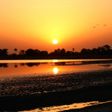BSF-Senegal_2023-228