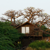 BSF-Senegal_2023-231